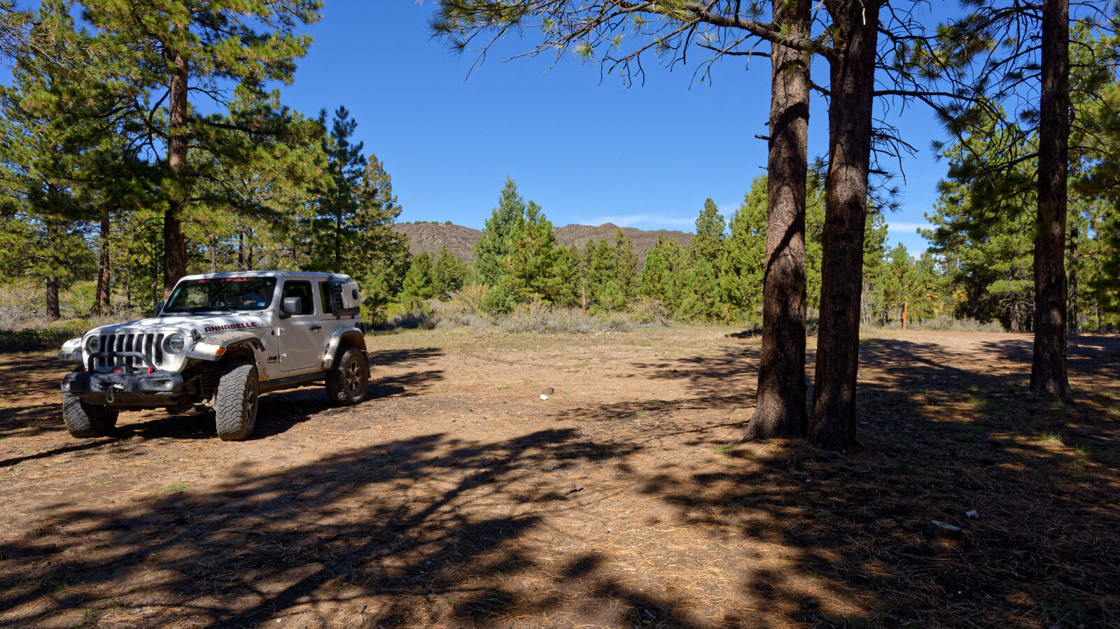 Shady camp spot, not private. Fits 2 to 4 rigs if they are short.