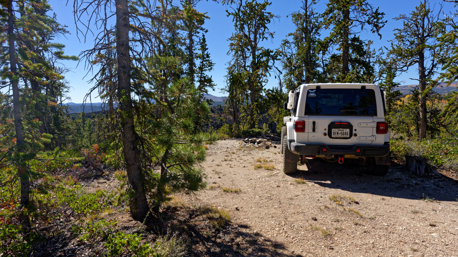 Very small camp spot that barely fits one rig. In the trees with some privacy and little shade.