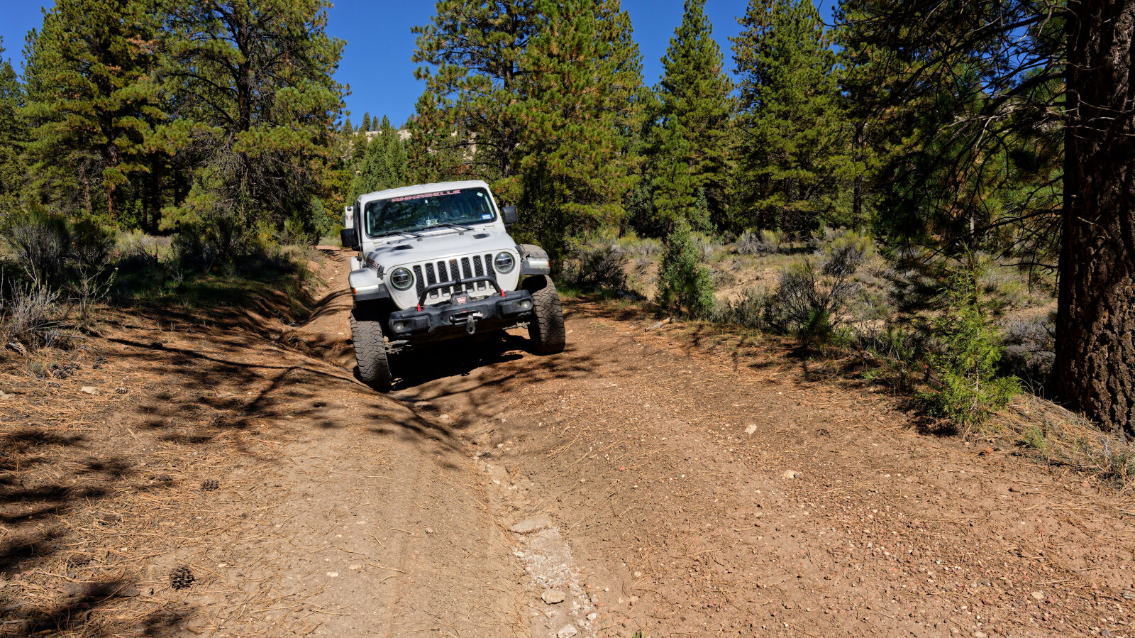 Deep ruts of about 11 inches that cannot be avoided. Level 3 spot.