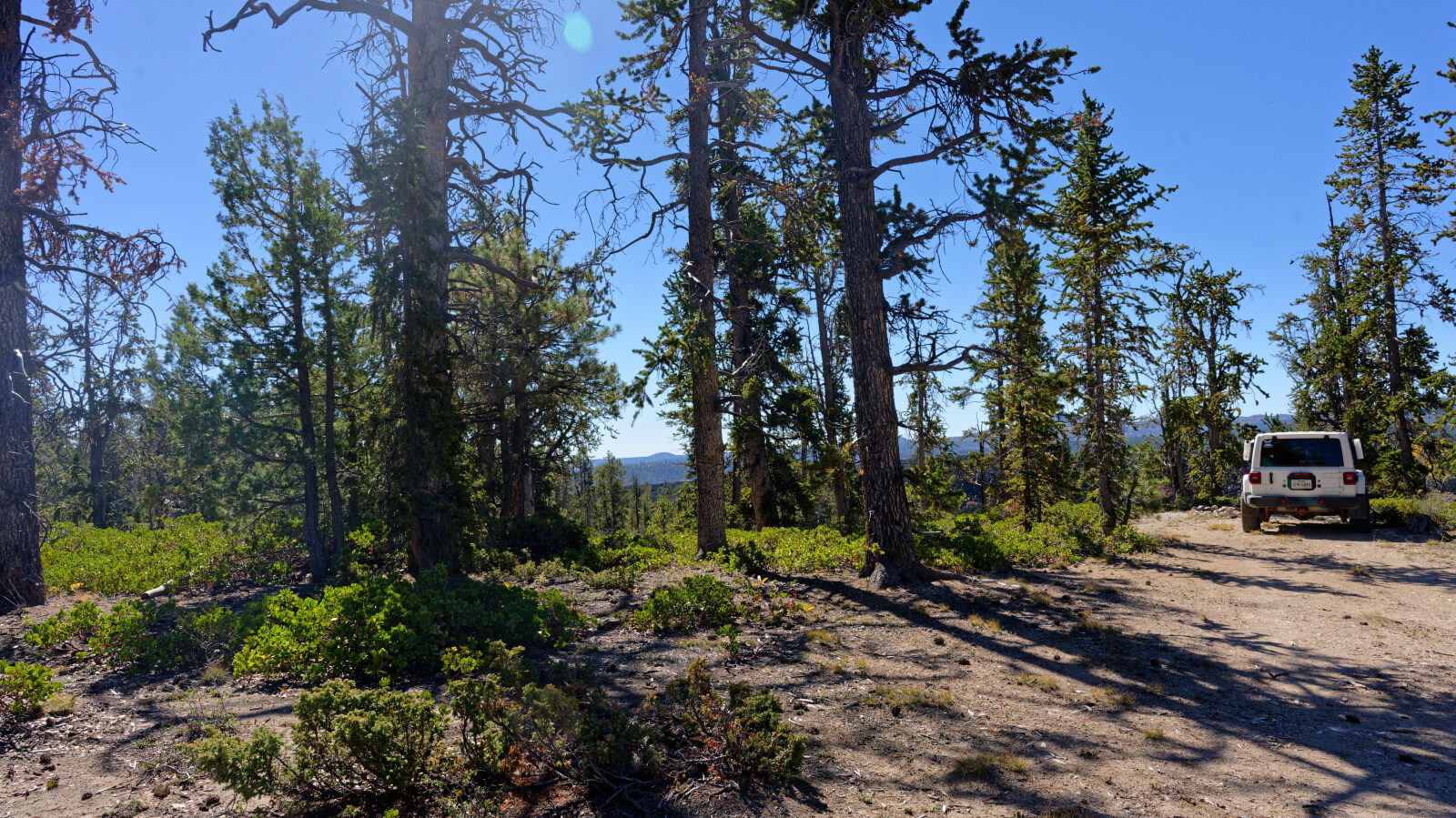 Very small camp spot that barely fits one rig. In the trees with some privacy and little shade.