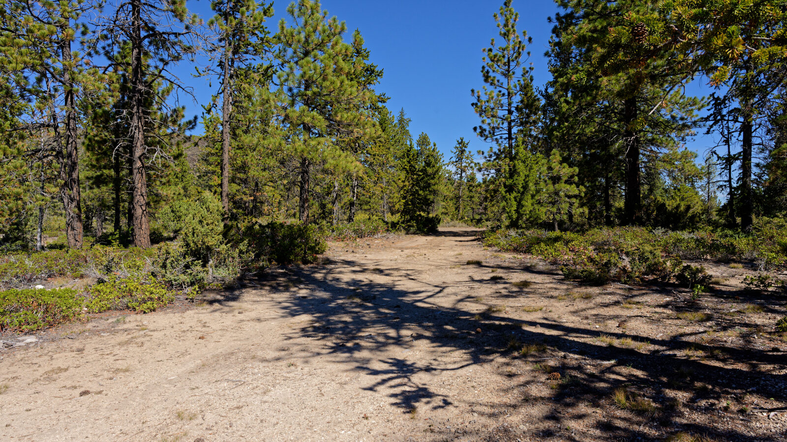 Very small camp spot that barely fits one rig. In the trees with some privacy and little shade.