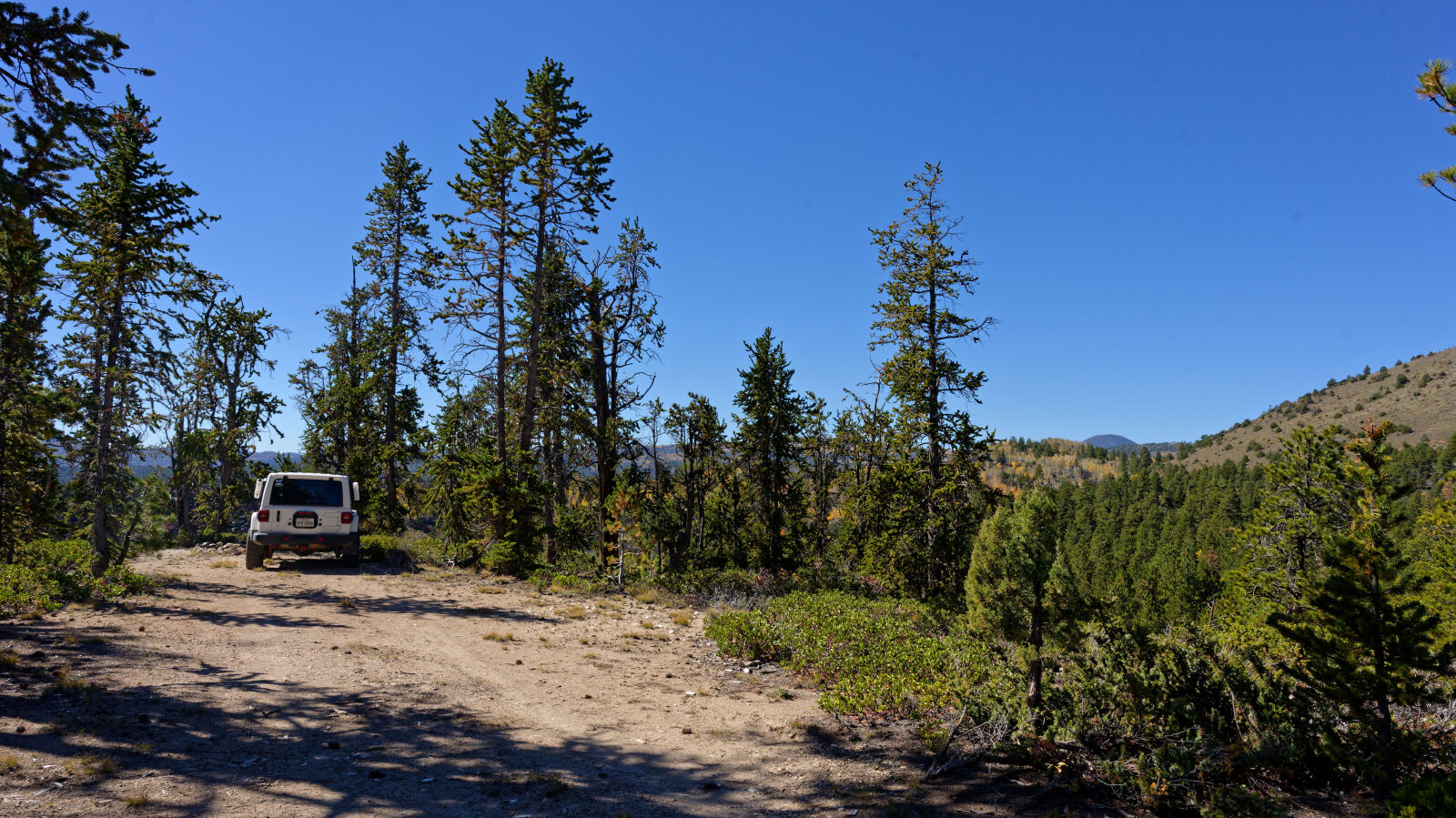 Very small camp spot that barely fits one rig. In the trees with some privacy and little shade.