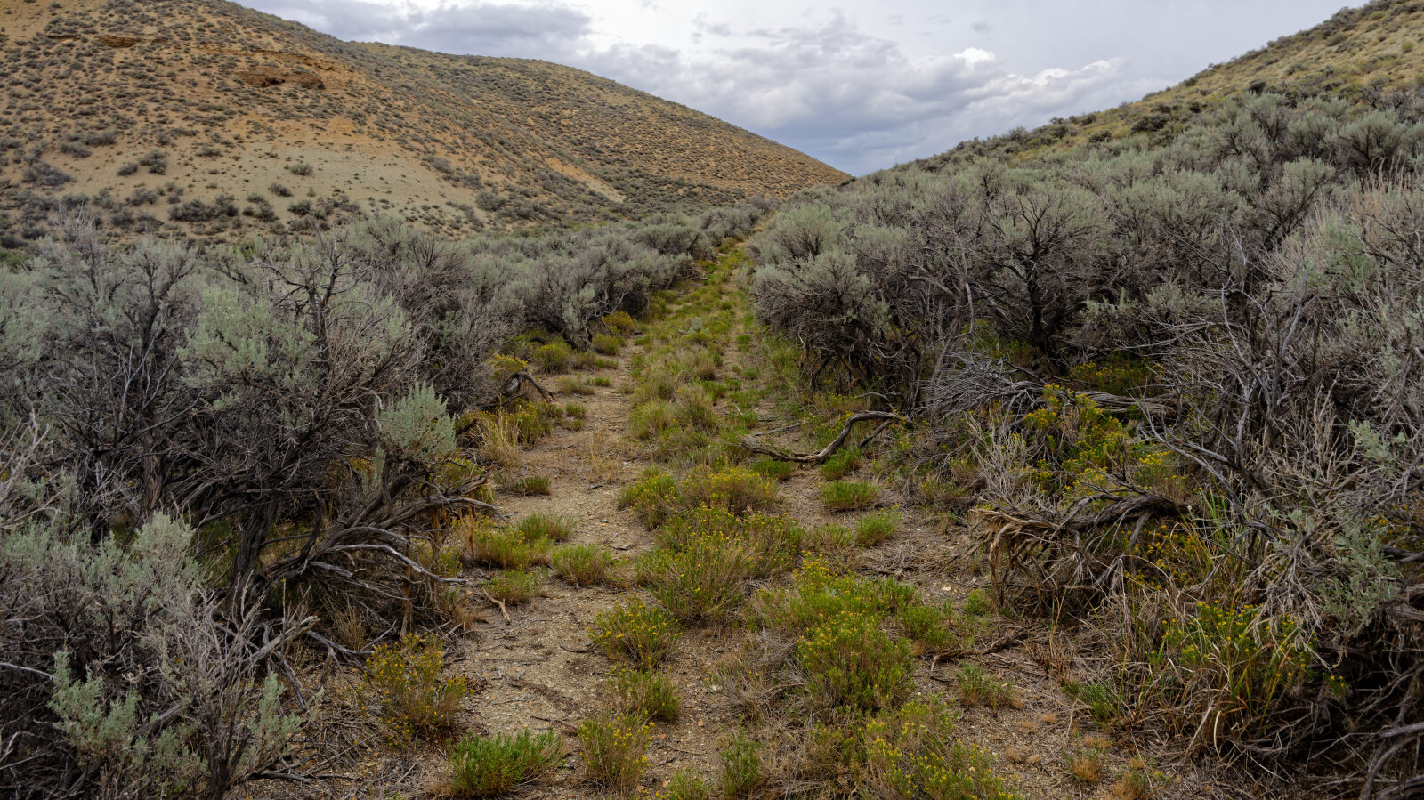 Waypoint 4