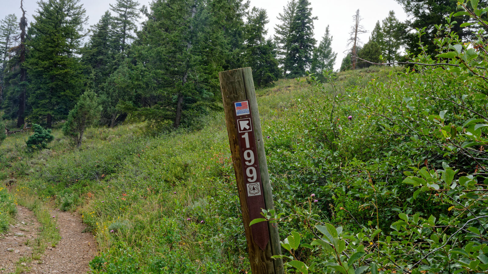 Waypoint 1