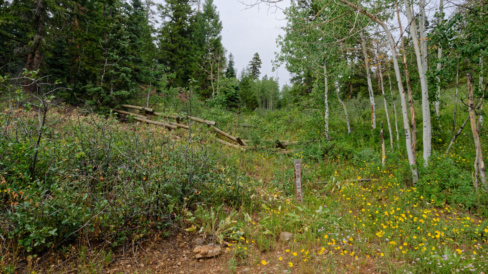 Waypoint 3