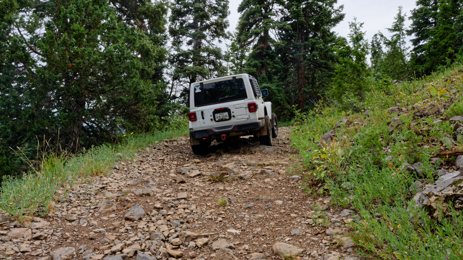 Waypoint 2