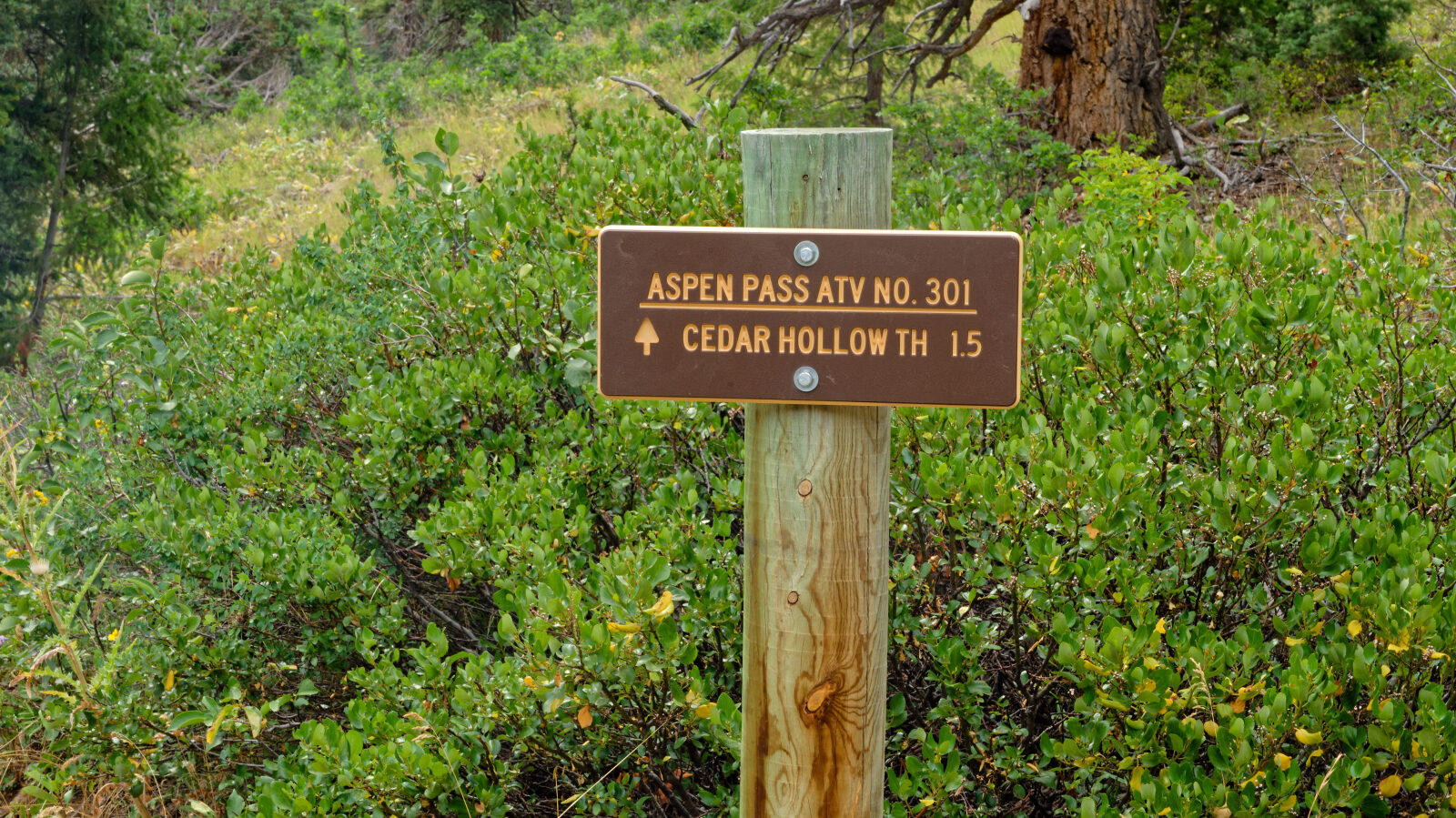 Waypoint 3