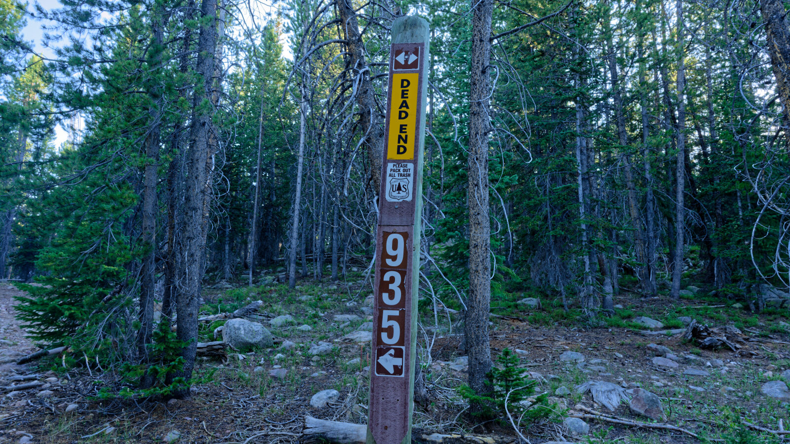 Waypoint 4
