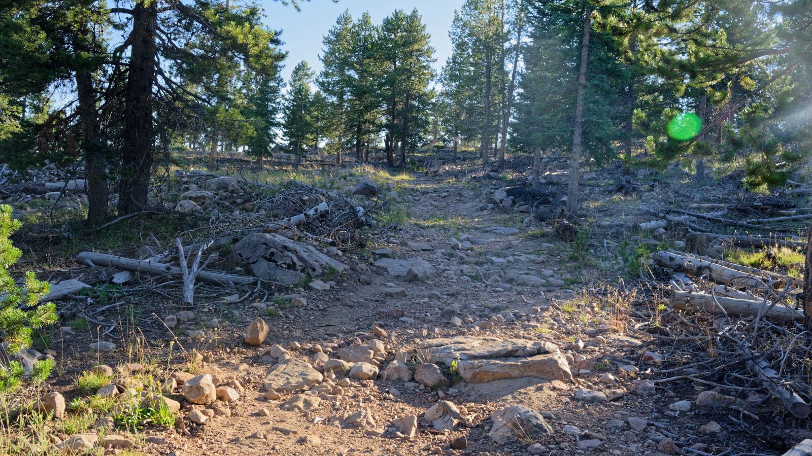 Waypoint 3