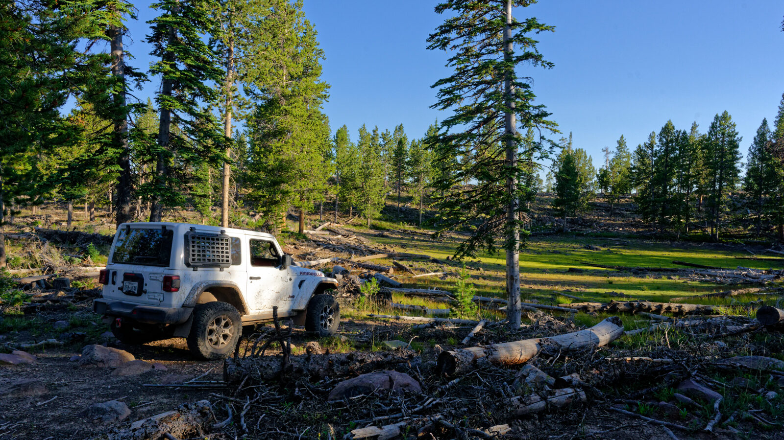 Waypoint 6