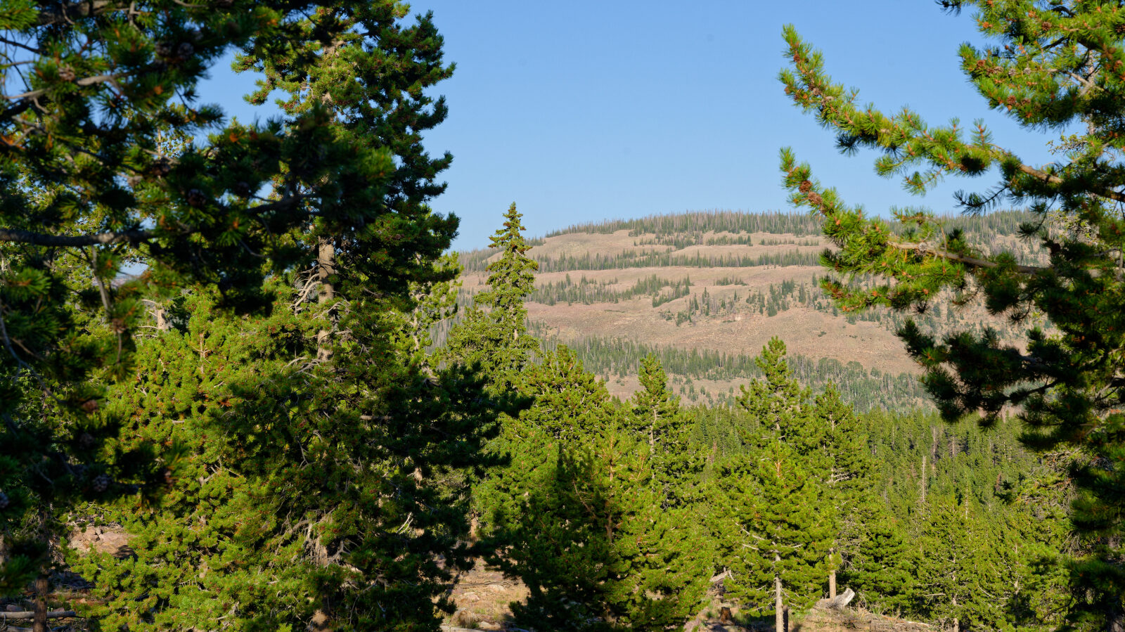 Waypoint 2