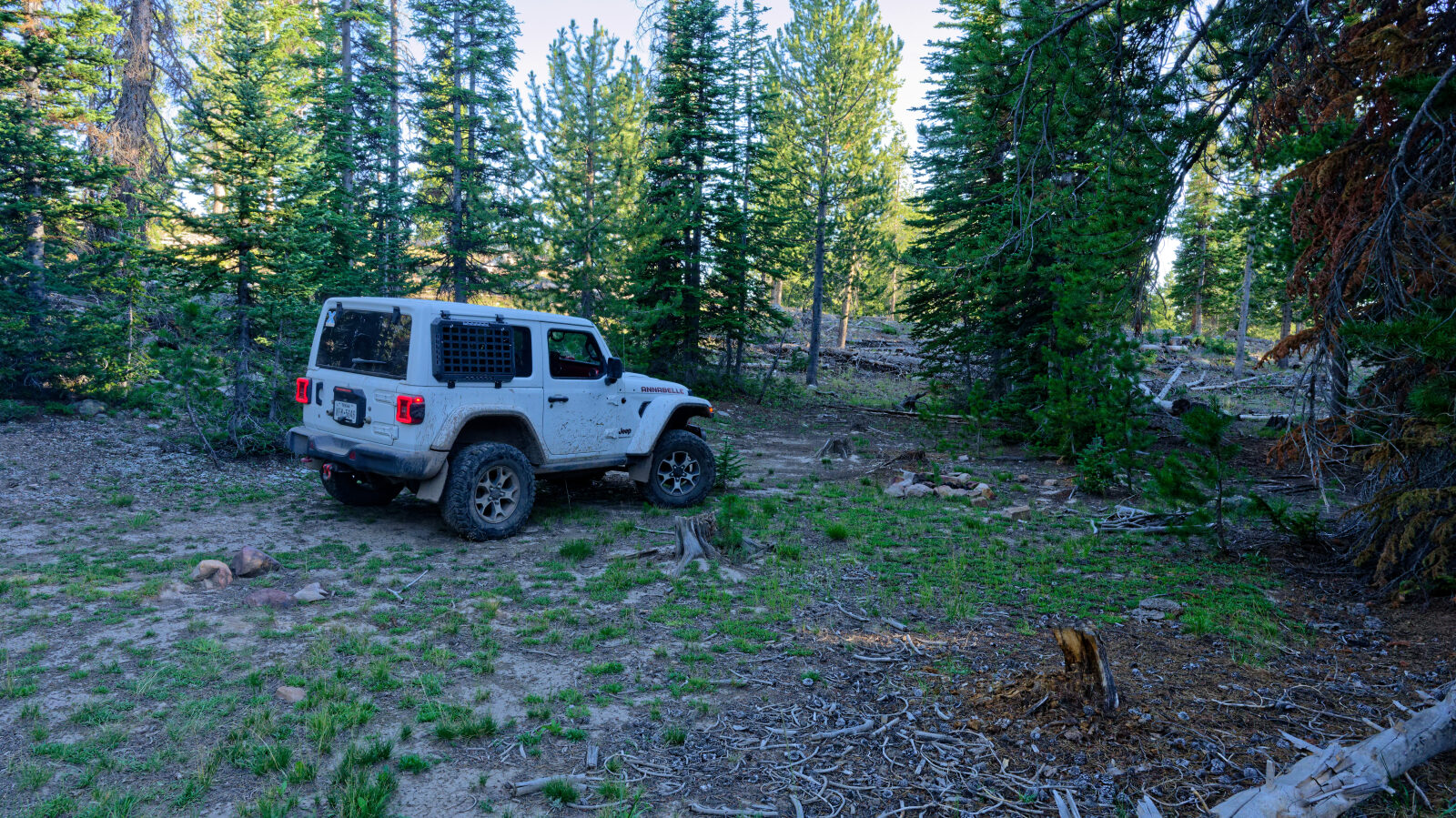 Waypoint 5