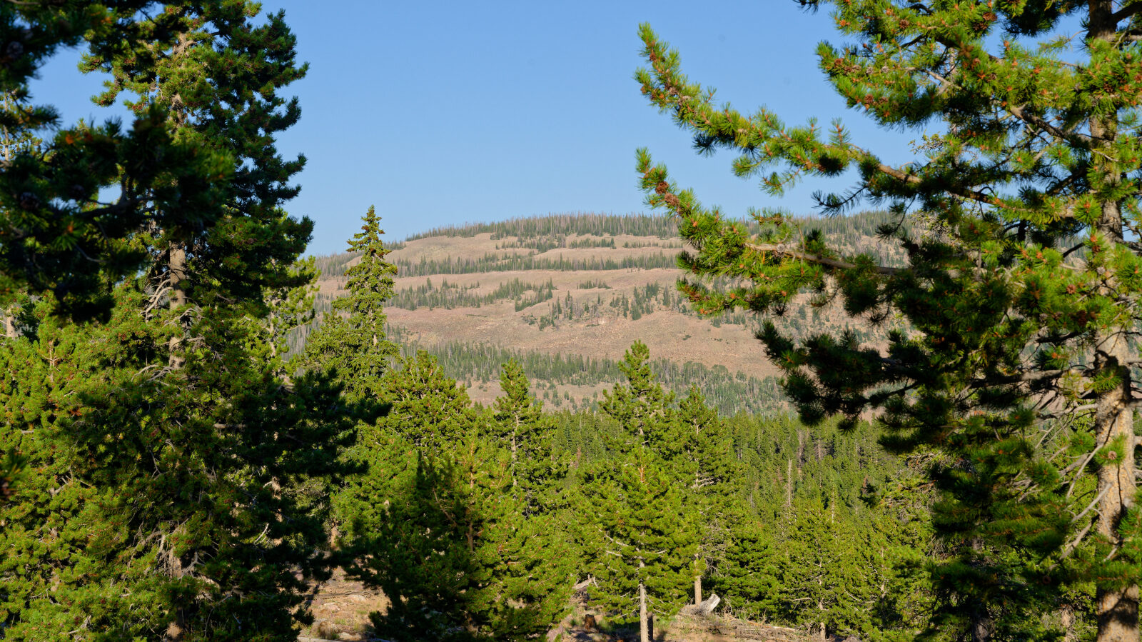 Waypoint 2