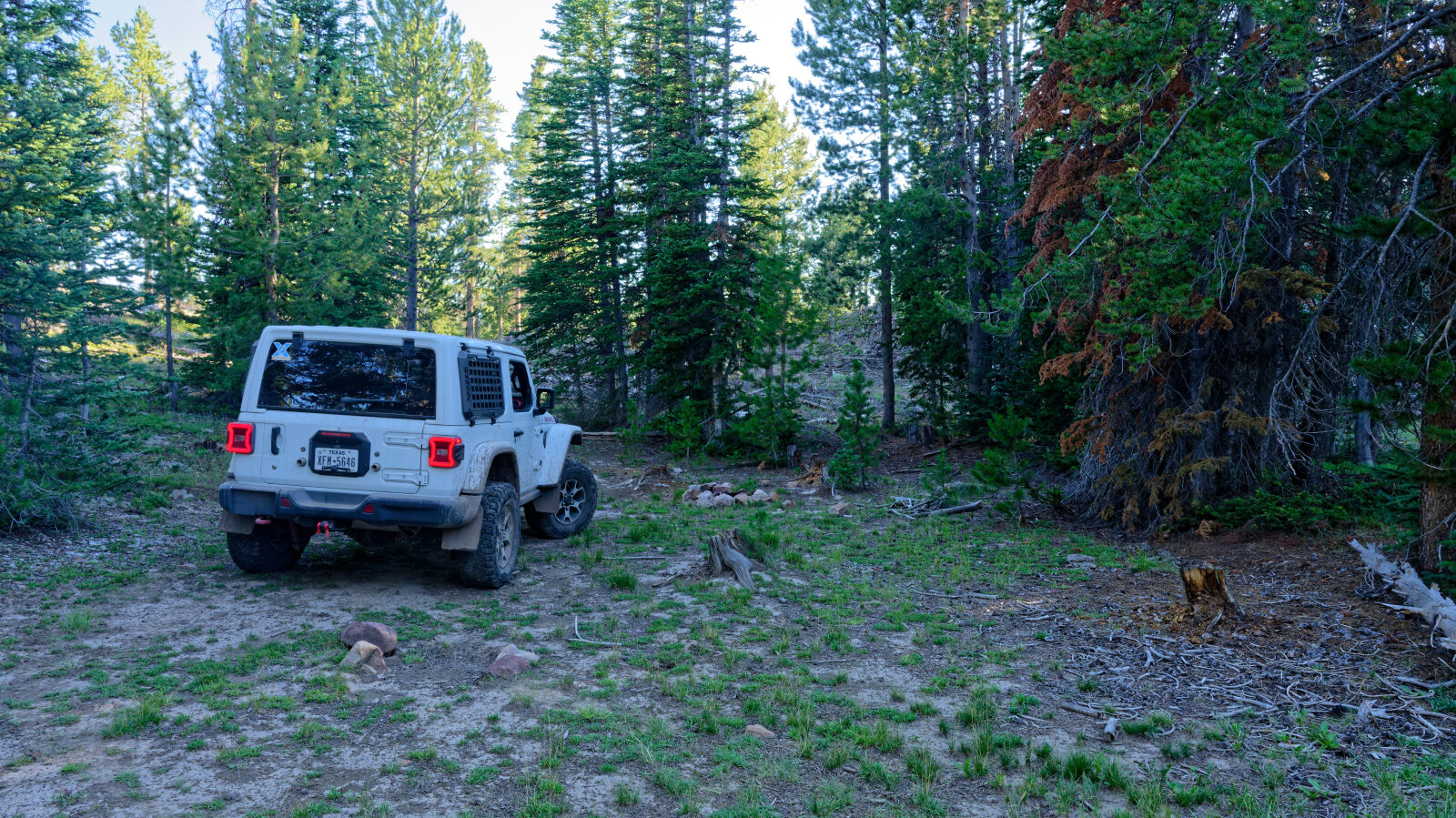Waypoint 5