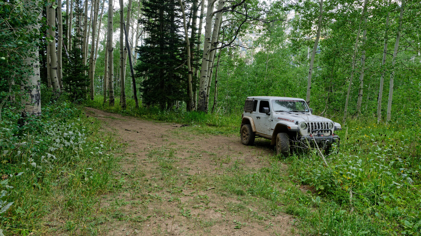 Waypoint 4