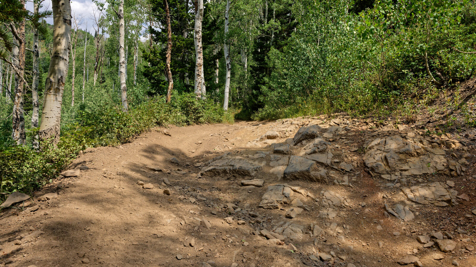Waypoint 3