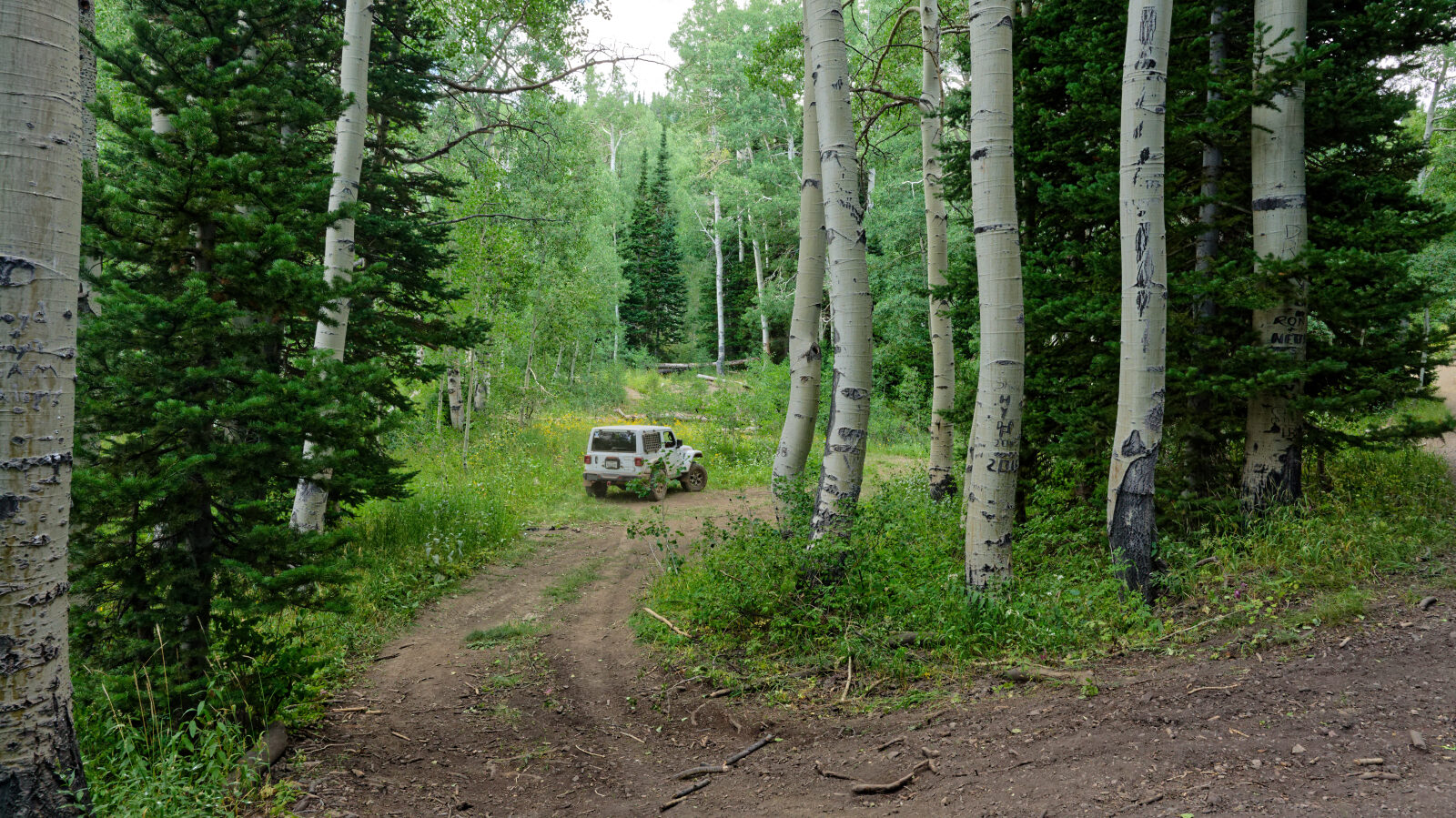 Waypoint 4