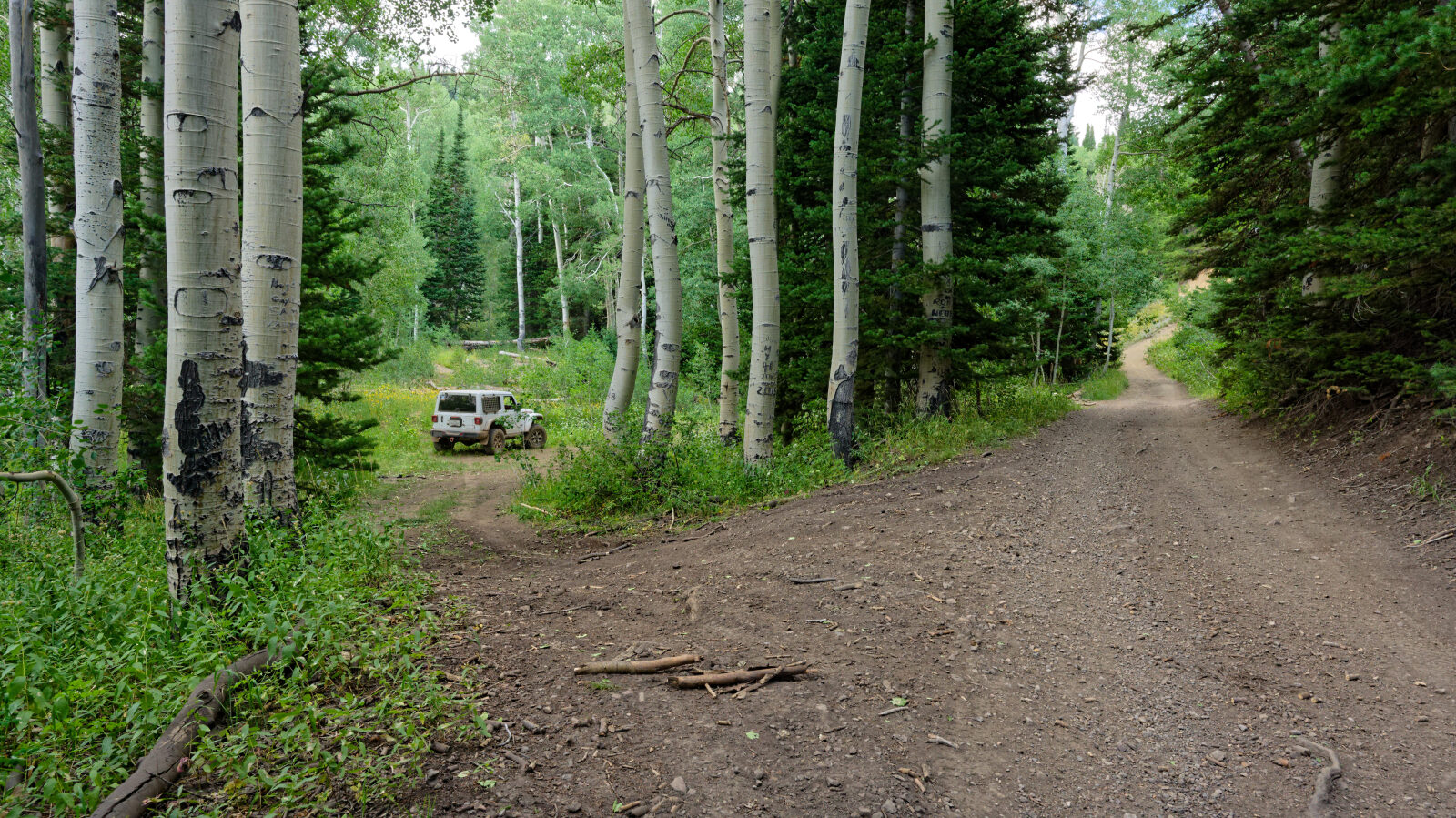 Waypoint 4