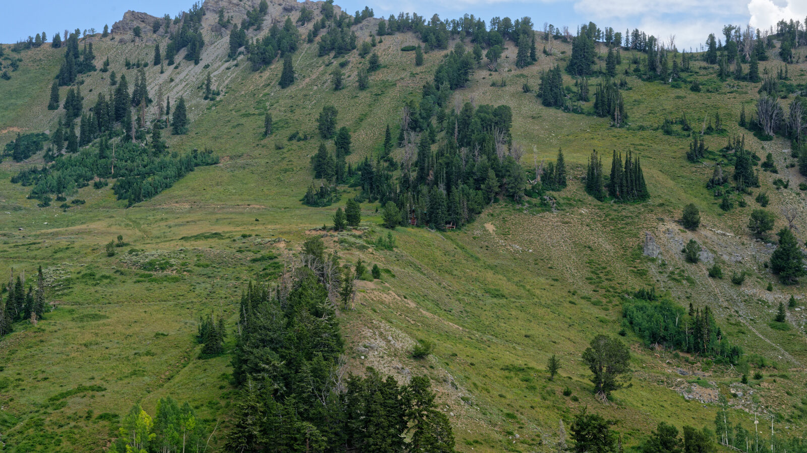 Waypoint 8
