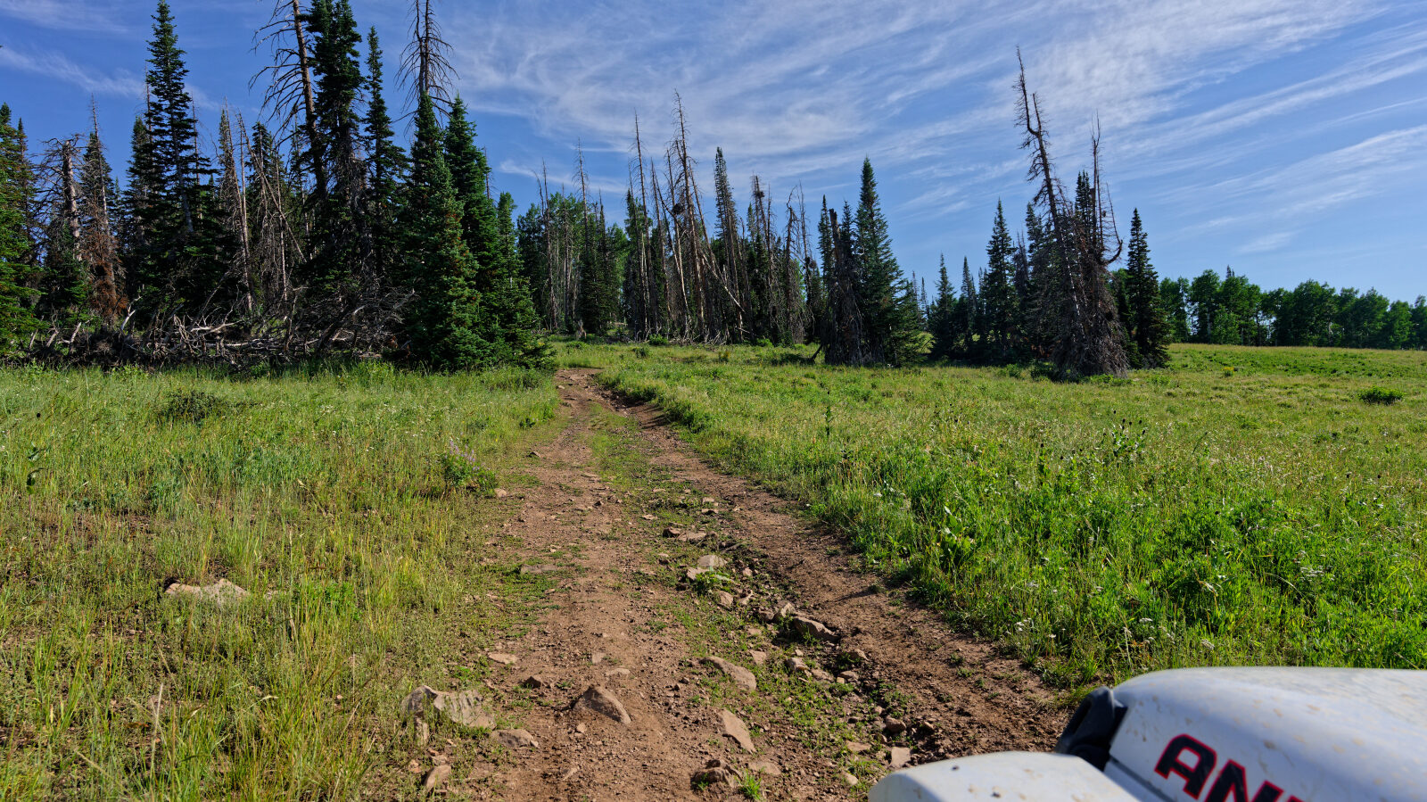 Waypoint 1
