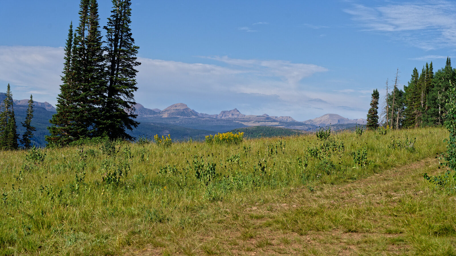 Waypoint 2