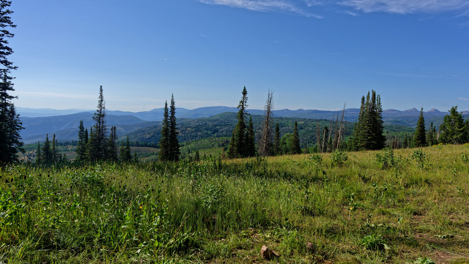 Waypoint 2