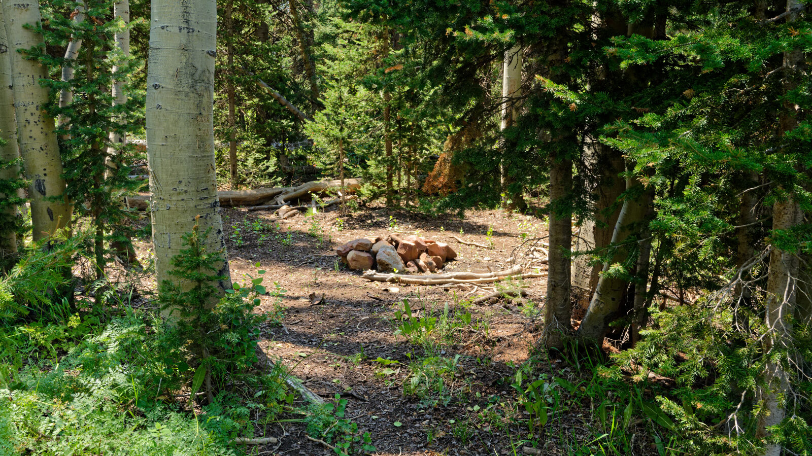 Waypoint 3