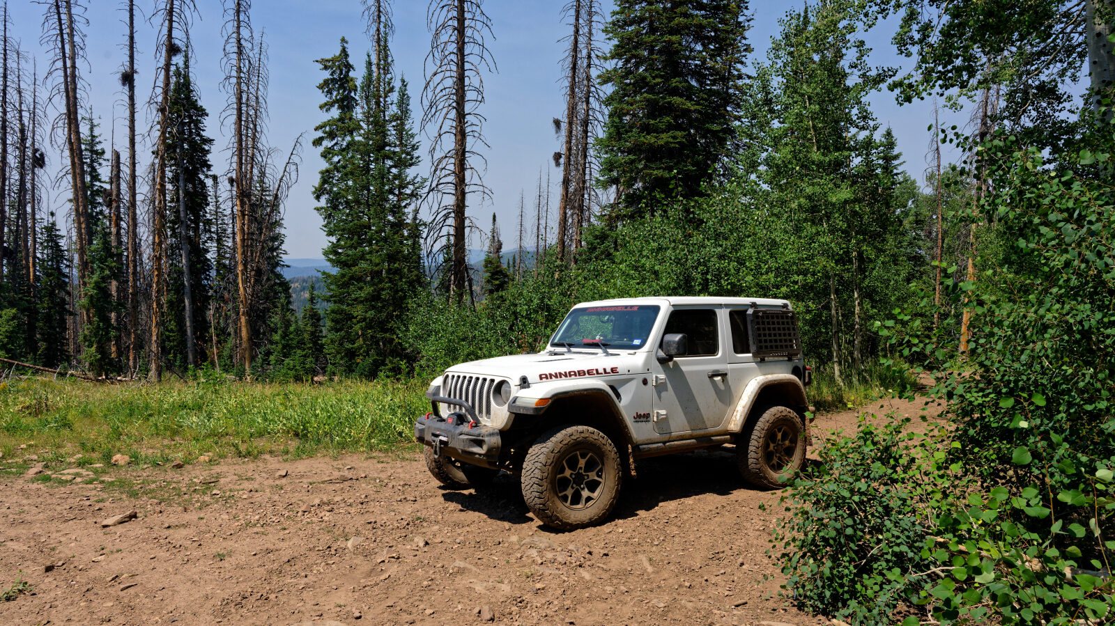 Waypoint 7