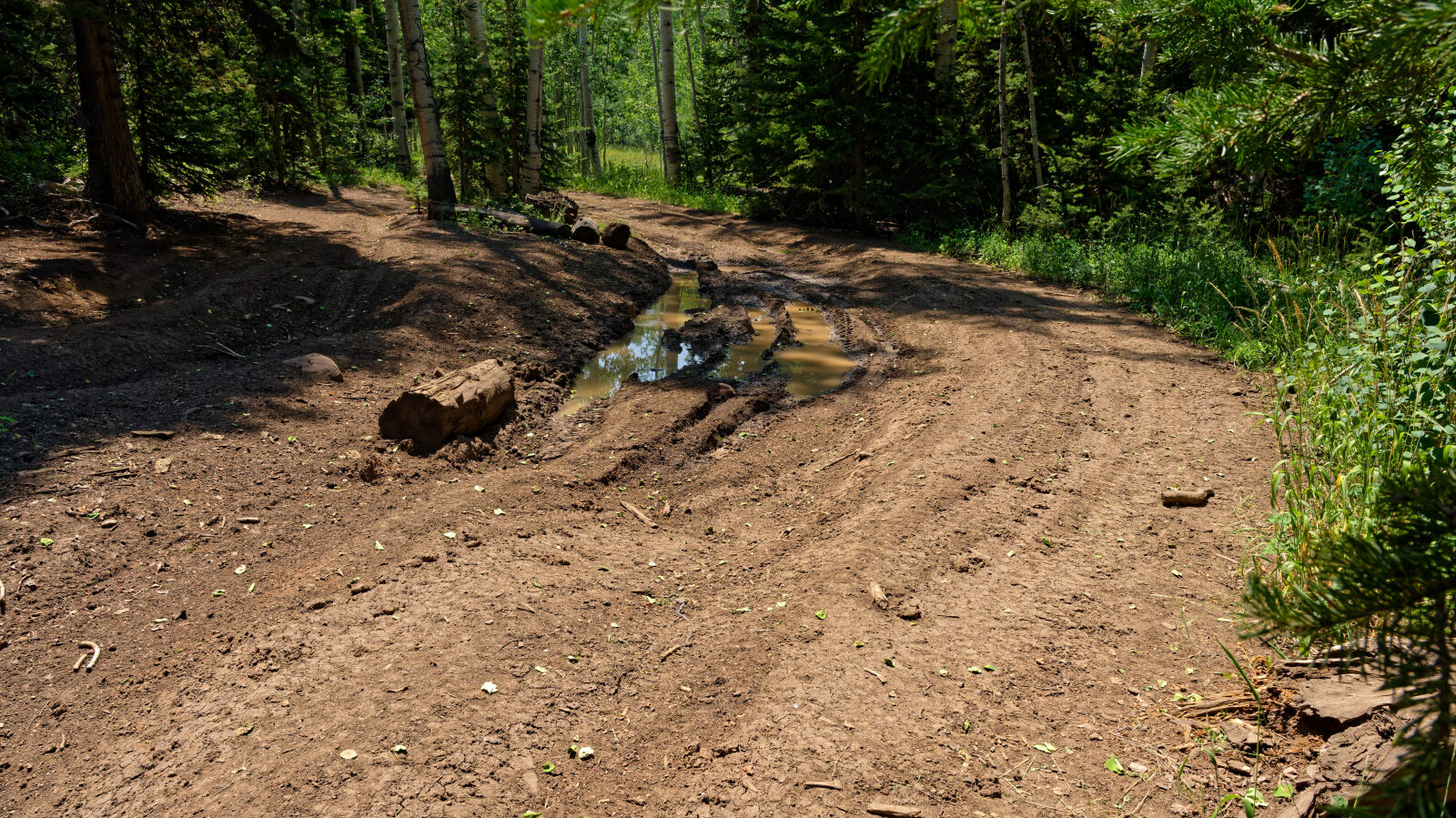 Waypoint 4