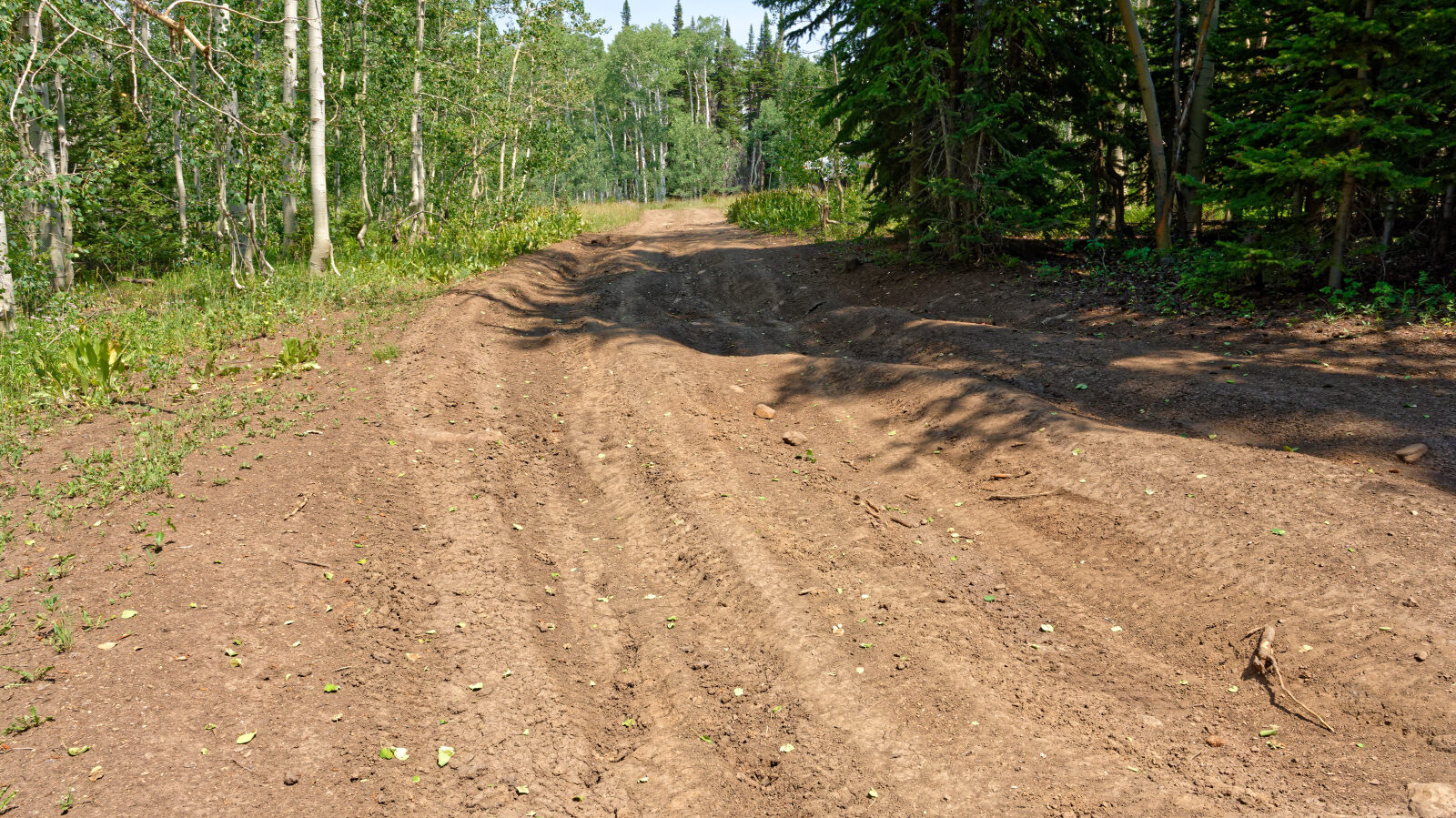 Waypoint 4