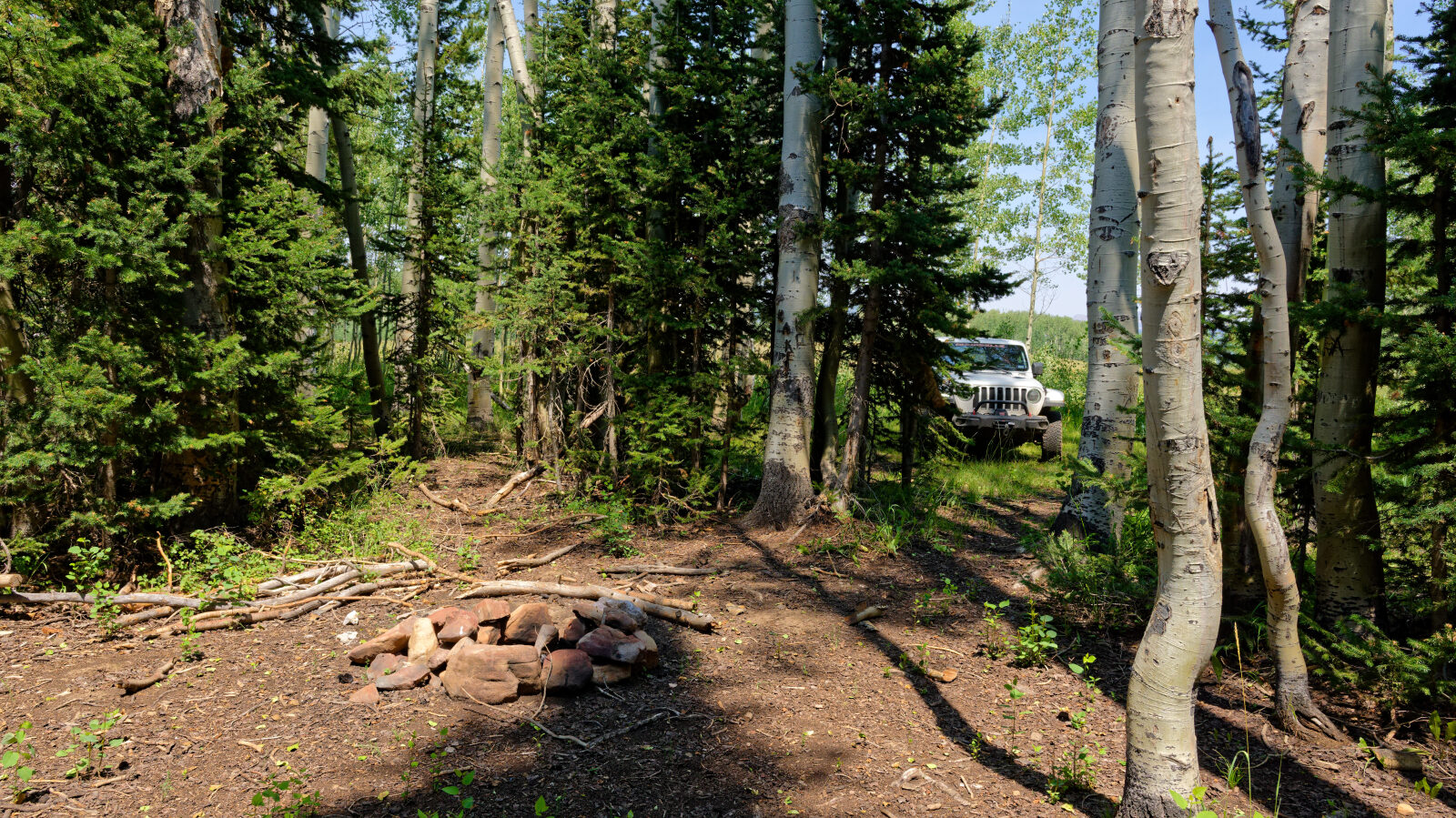 Waypoint 3