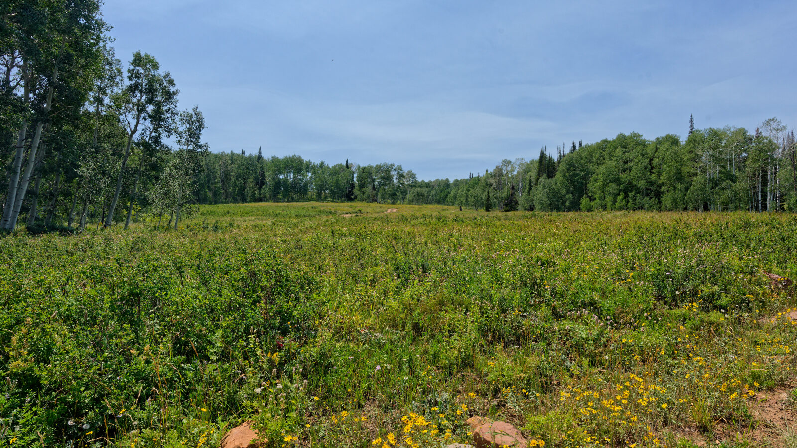 Waypoint 1