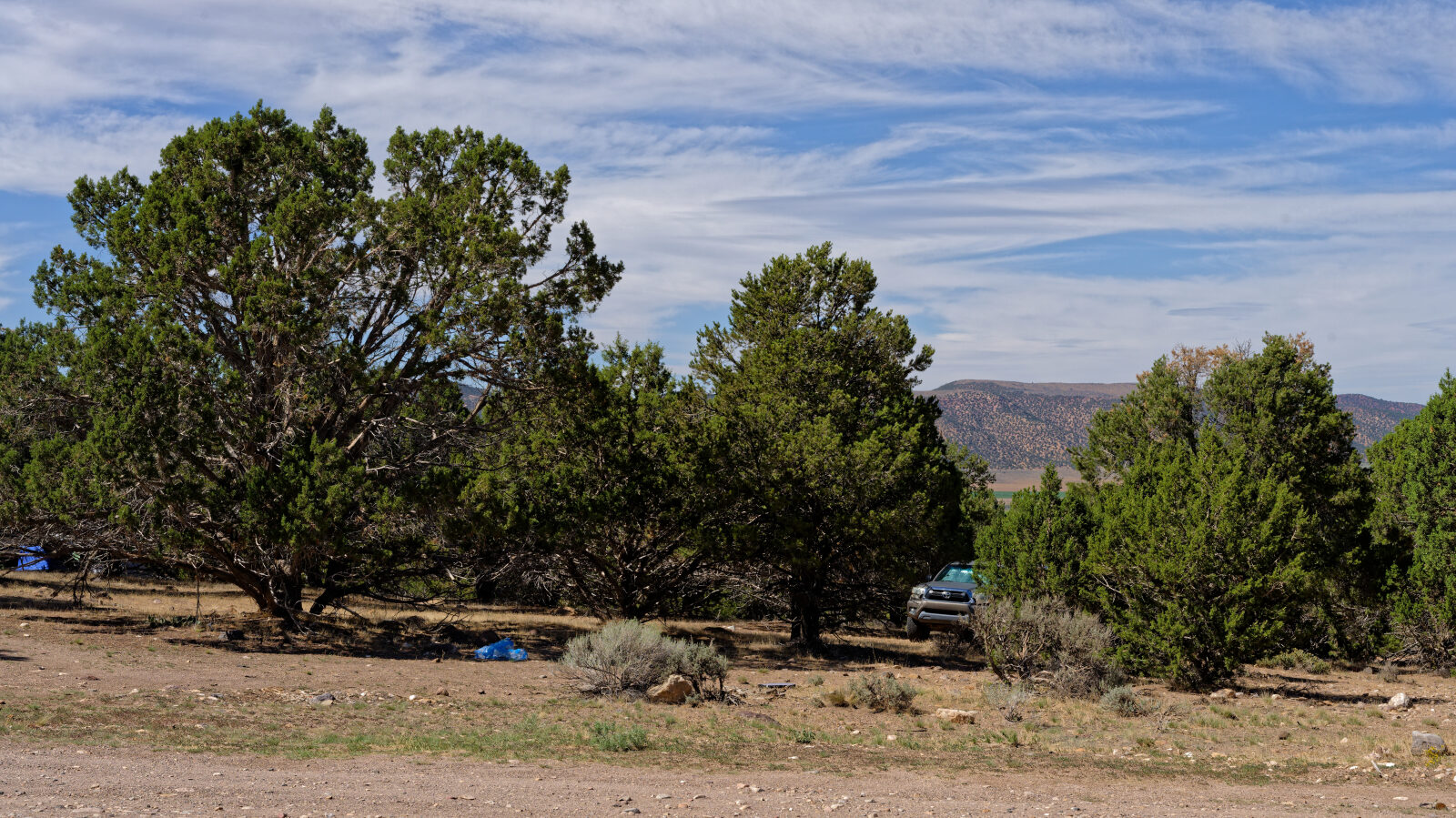 Many camping spots here, all in trees and none private. Short rigs will get shade, longer ones will be in the sun.
