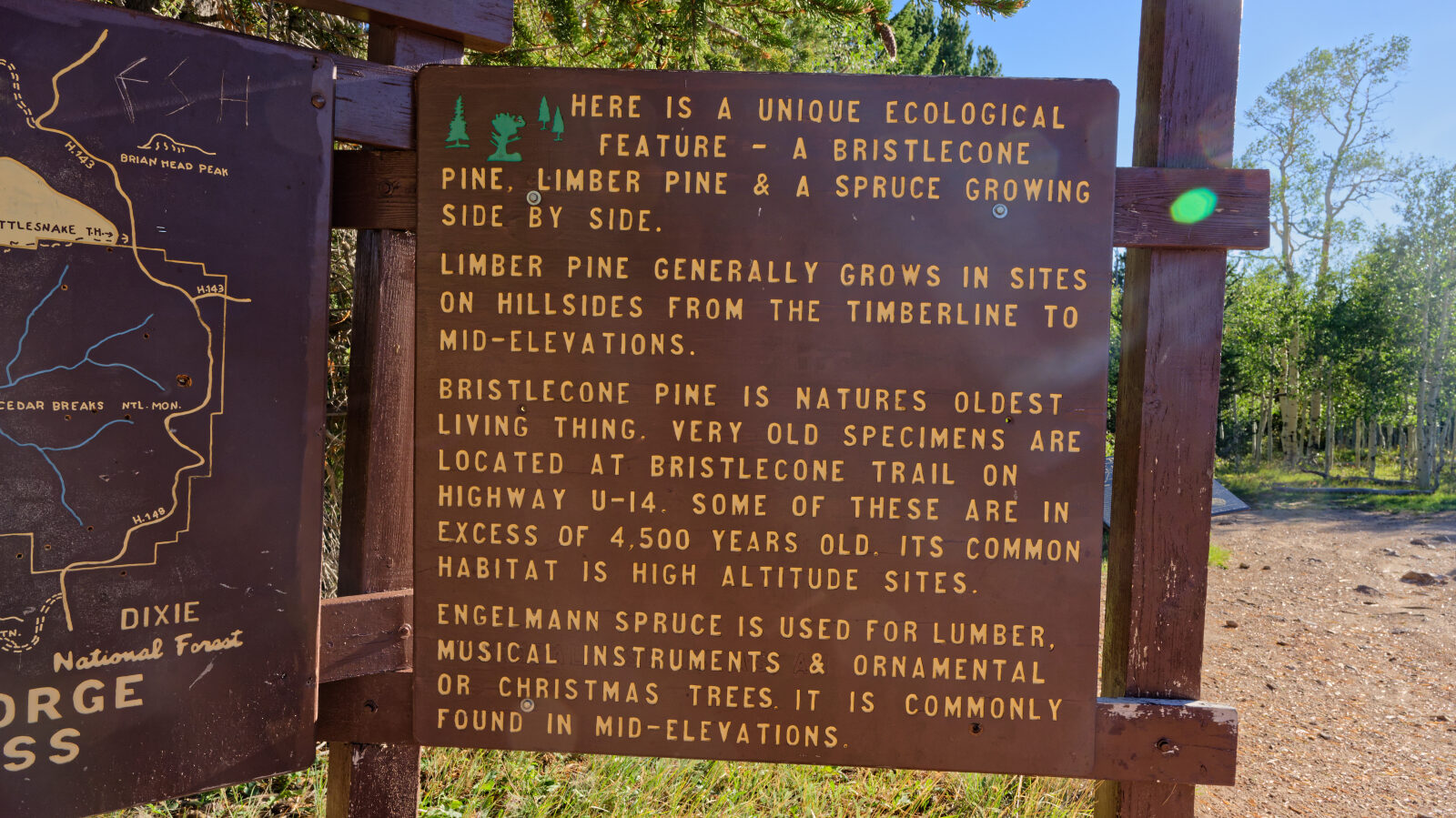 The hiking trail to Twisted Forest starts here.