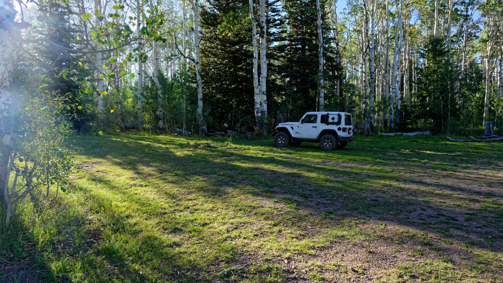 A couple of camping spots set a little off the road in trees, with some privacy and shade. Each holds two or maybe three rigs.
