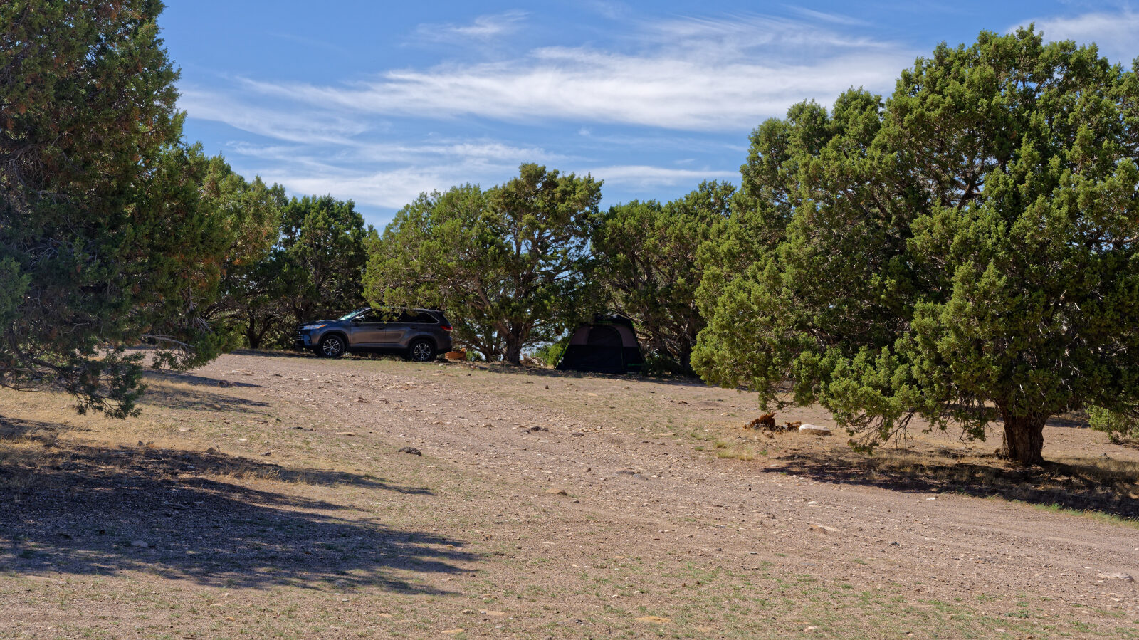 Many camping spots here, all in trees and none private. Short rigs will get shade, longer ones will be in the sun.