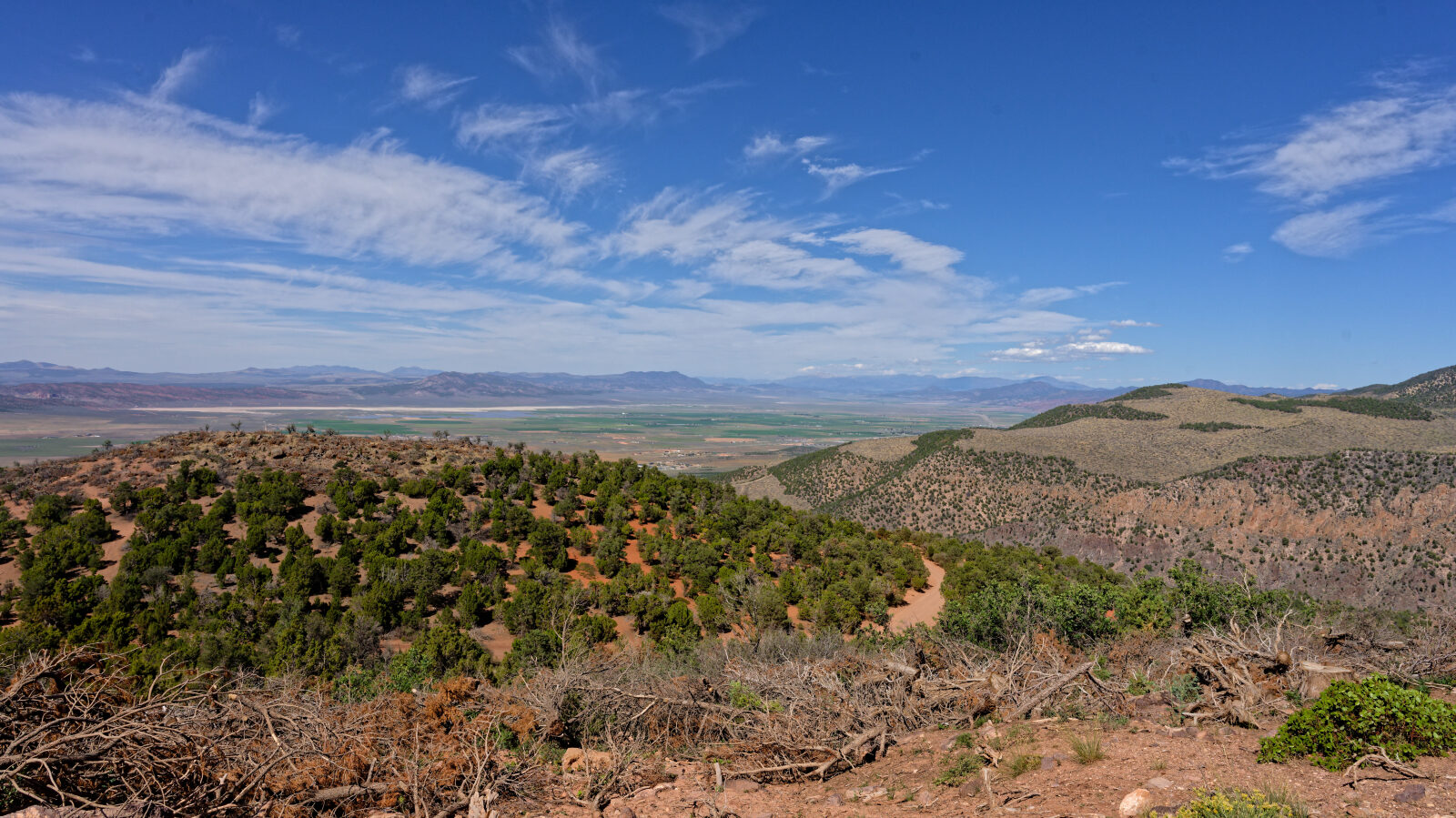 Waypoint 6
