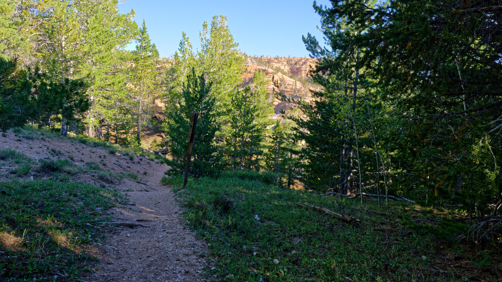 The hiking trail to Twisted Forest starts here.