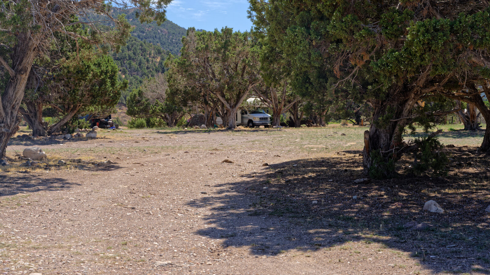 Many camping spots here, all in trees and none private. Short rigs will get shade, longer ones will be in the sun.