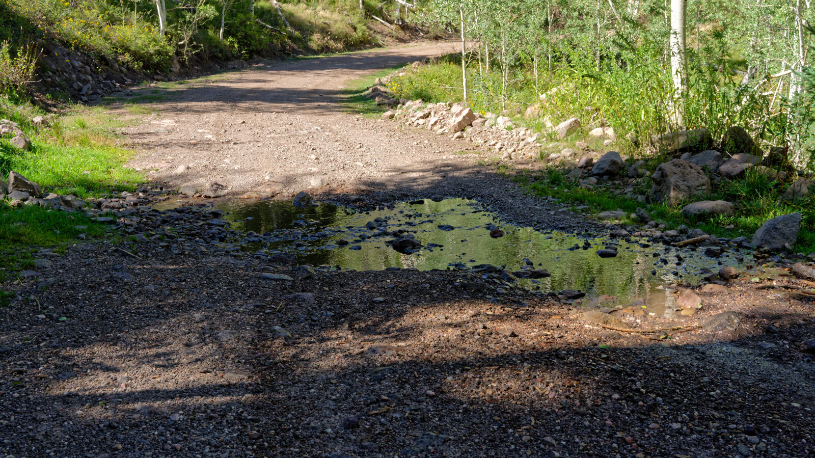 Stream crossing, level one.