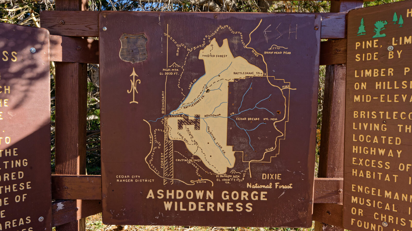 The hiking trail to Twisted Forest starts here.