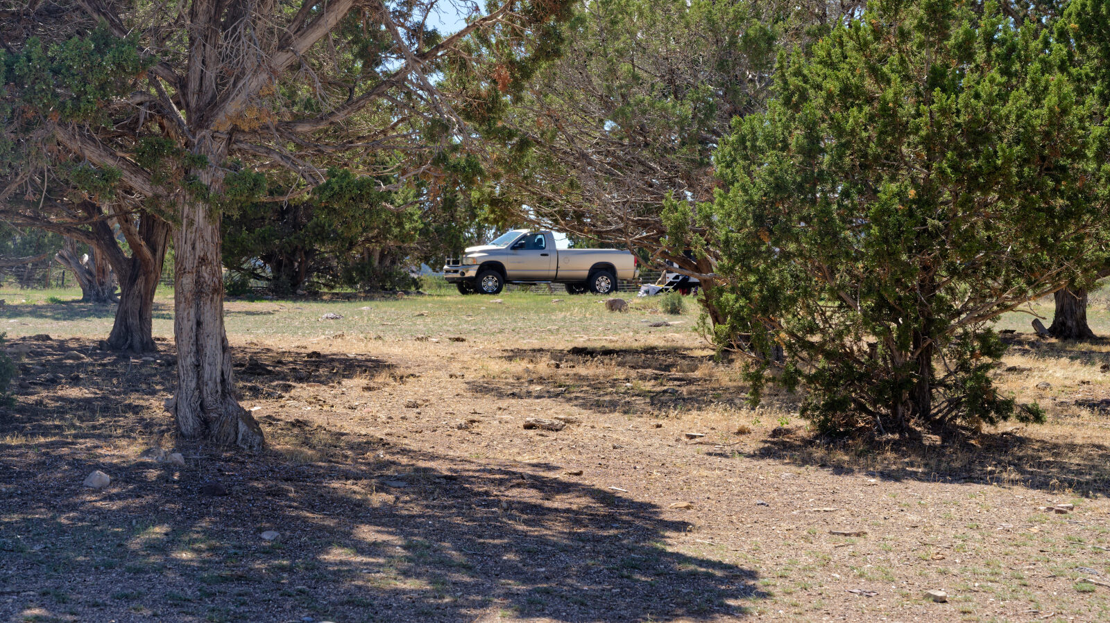 Many camping spots here, all in trees and none private. Short rigs will get shade, longer ones will be in the sun.