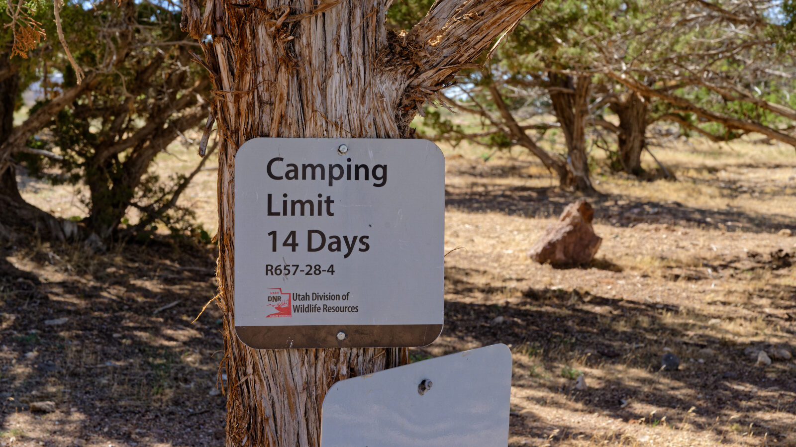 Many camping spots here, all in trees and none private. Short rigs will get shade, longer ones will be in the sun.