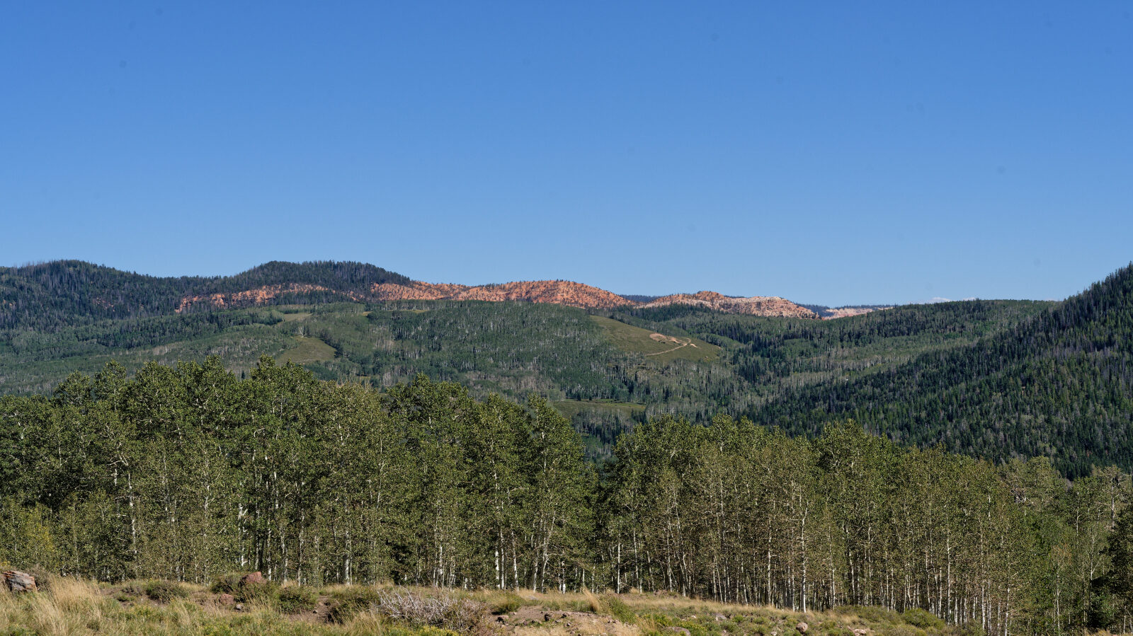 Waypoint 9