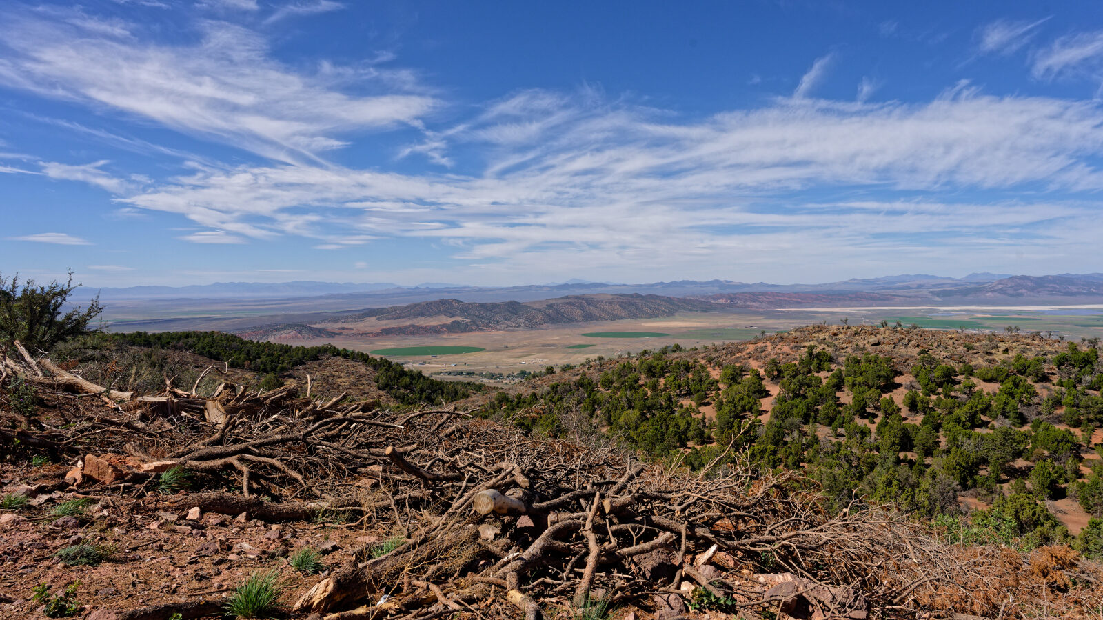 Waypoint 6