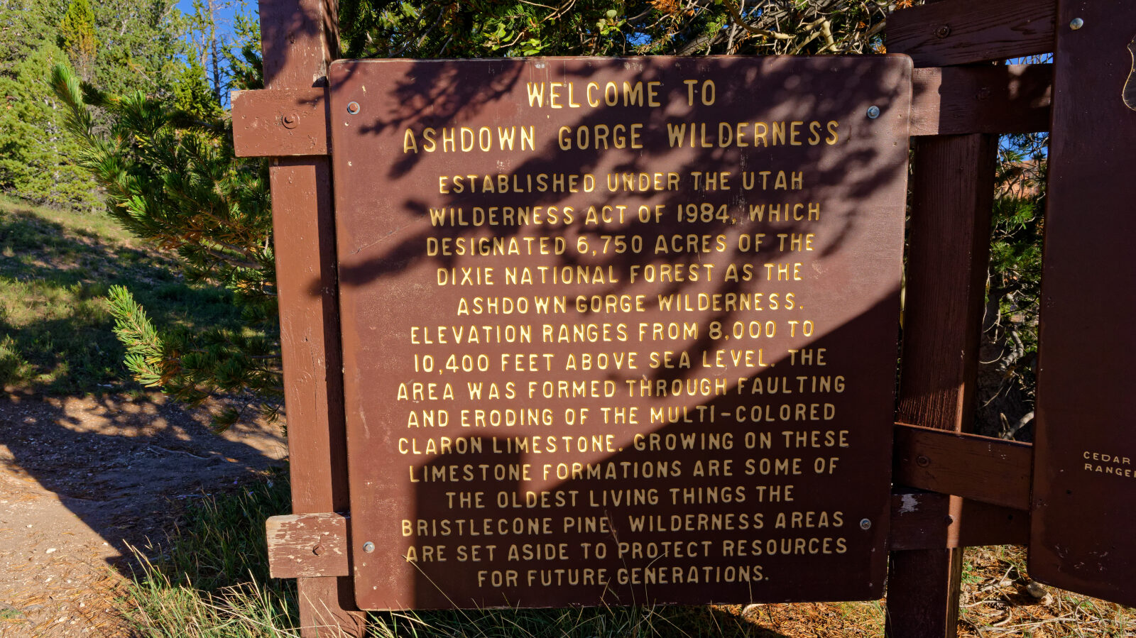 The hiking trail to Twisted Forest starts here.