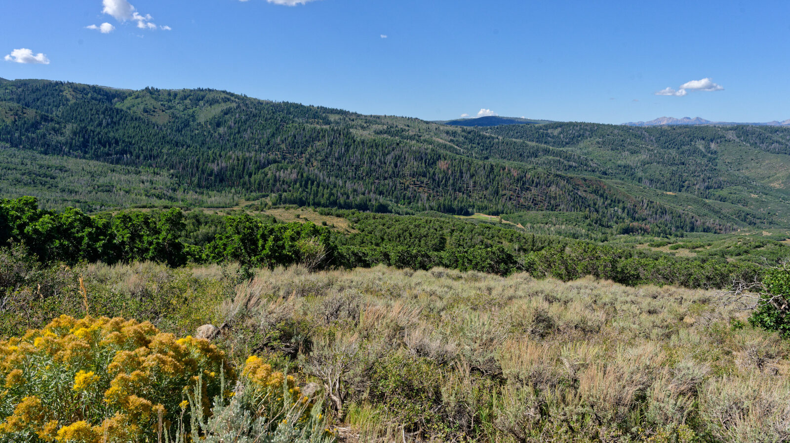 Waypoint 3