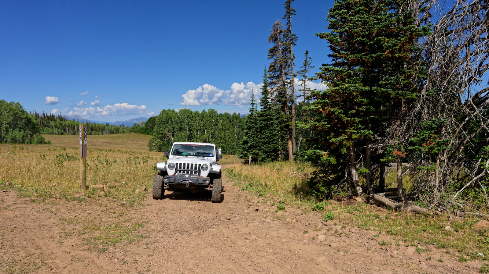 Waypoint 6