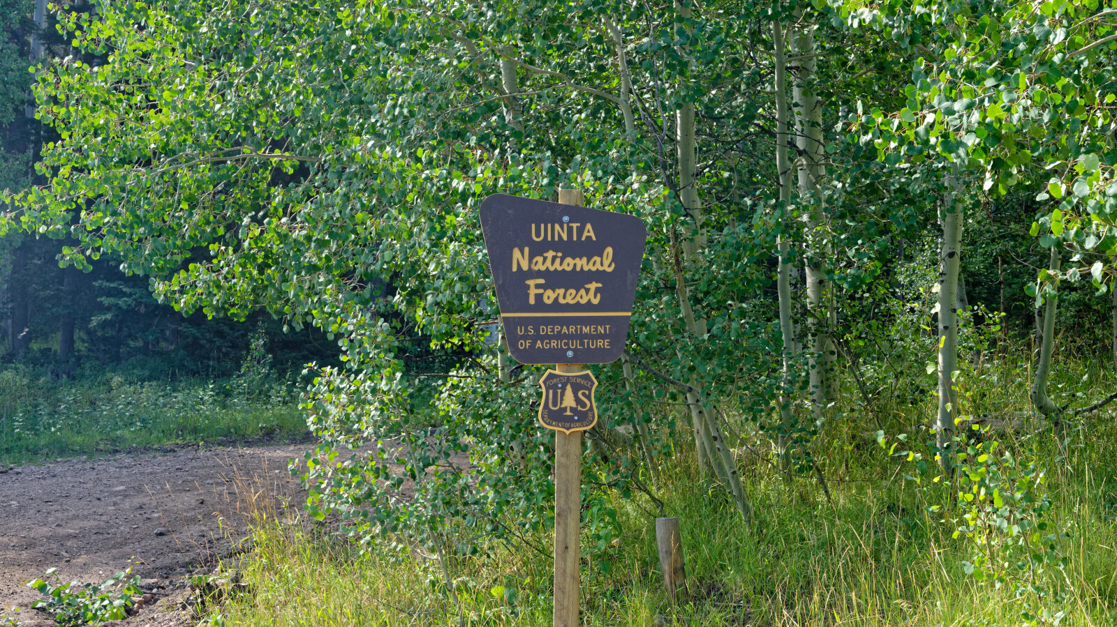 Waypoint 4