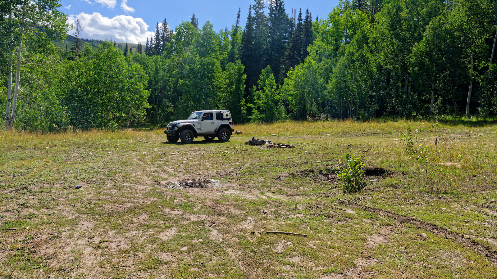 Waypoint 4